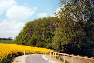 Radwanderweg bei Klink